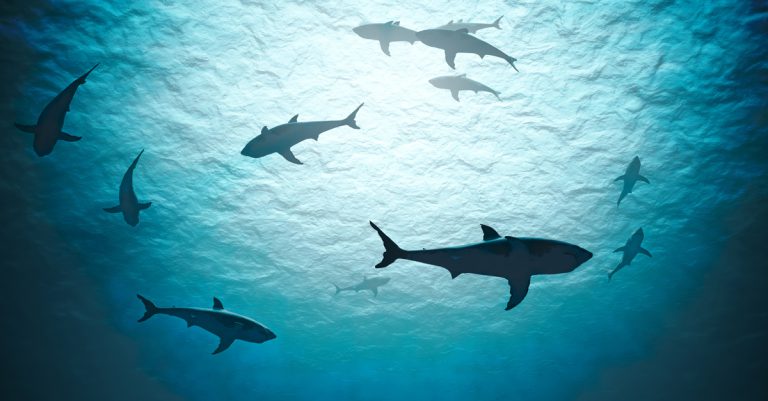 Predatory Lending: How to Identify & Avoid Unfair Loan Practices