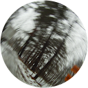 First Windermere Avatar